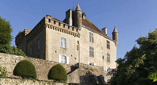 Château de Frontenay