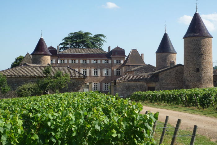 photo de Château de Chasselas