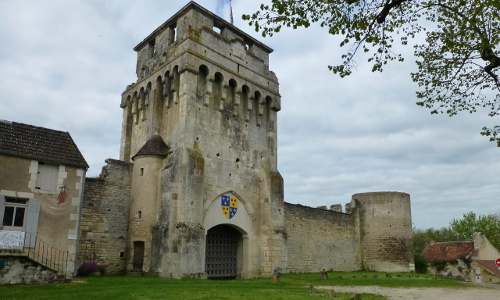 photo de Château de Druyes